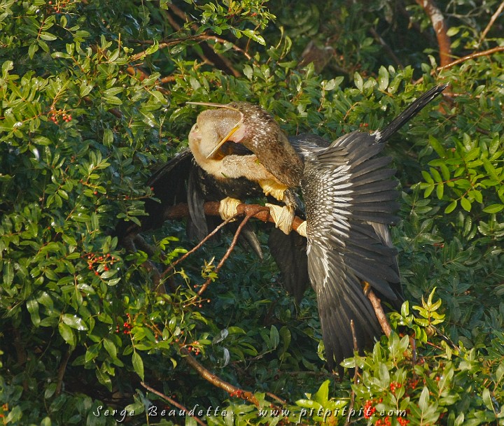 2009-01-06 08-30-51__MG_0493.JPG